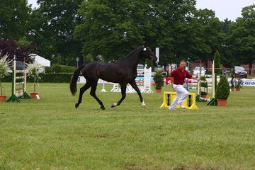 Bild 65 - Elmshorn am 9.6.10